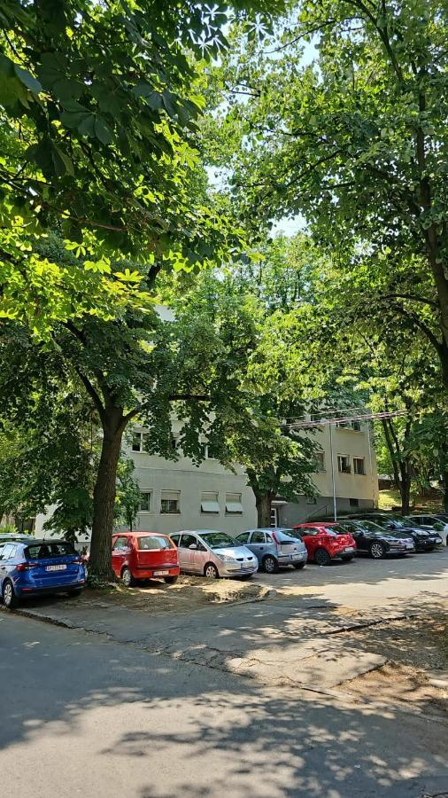 Apartman Maja Belgrad Zewnętrze zdjęcie