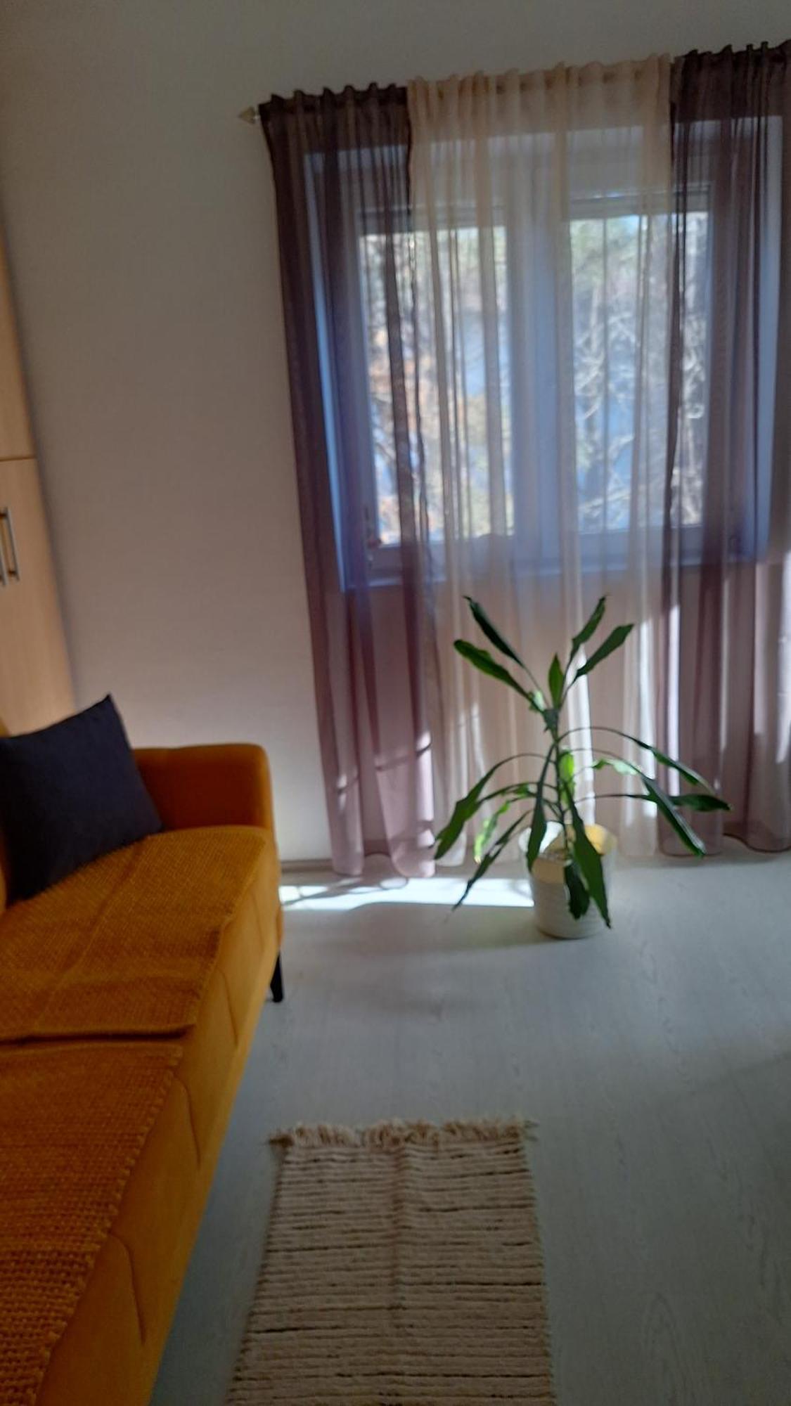 Apartman Maja Belgrad Zewnętrze zdjęcie