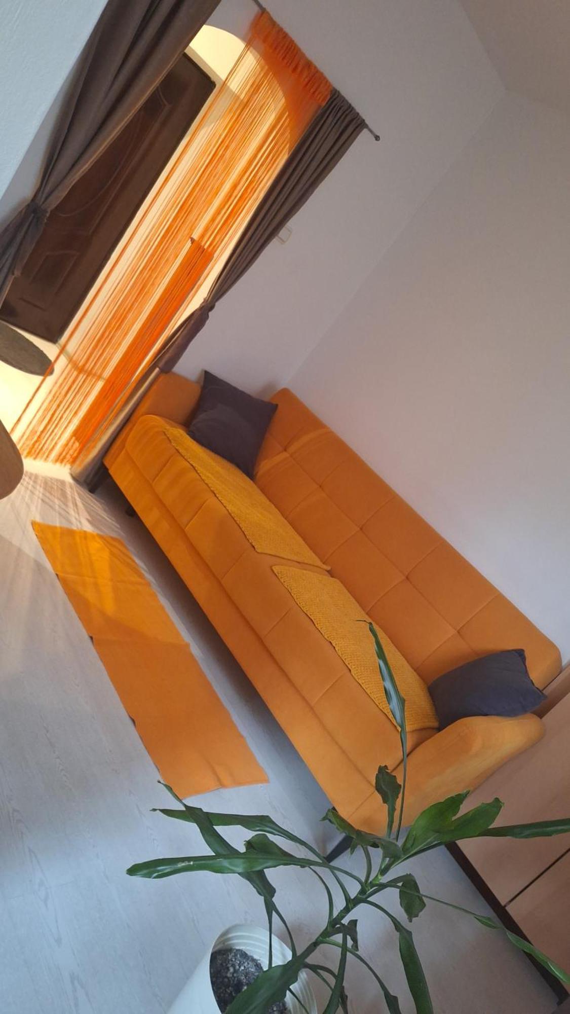 Apartman Maja Belgrad Zewnętrze zdjęcie