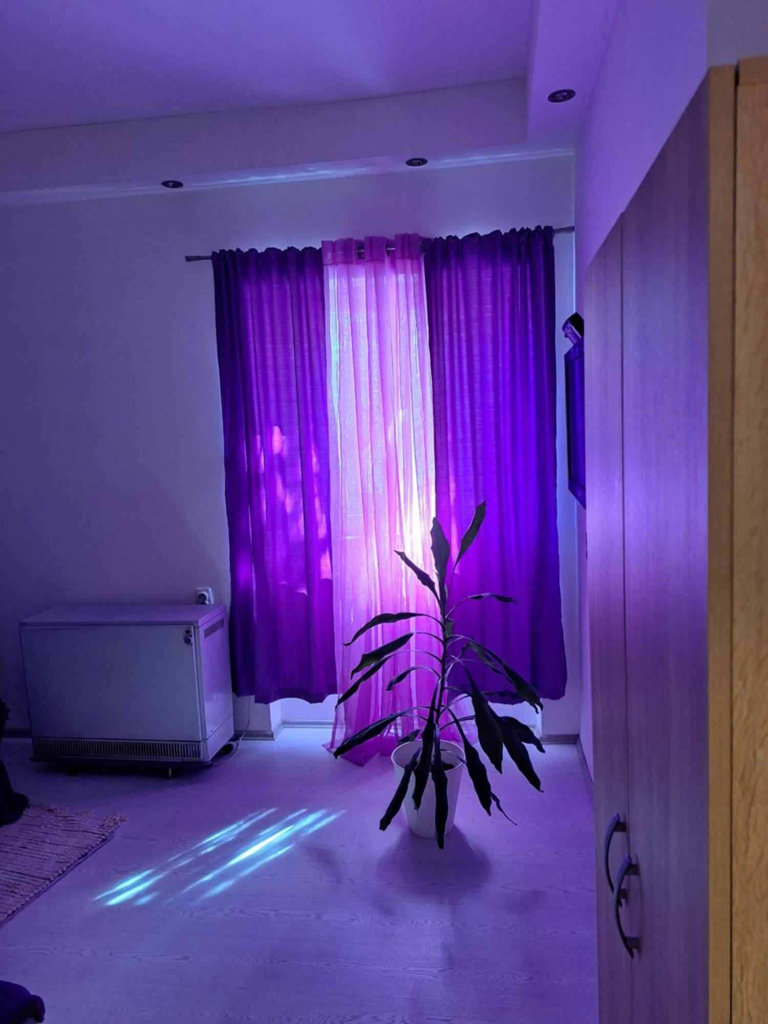 Apartman Maja Belgrad Zewnętrze zdjęcie